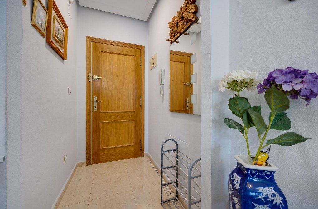 Rynek wtórny - Apartament - Torrevieja - Playa de Los Locos-Curva del Palangre