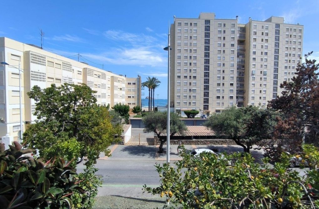 Reventa - Departamento - Benidorm - Poniente