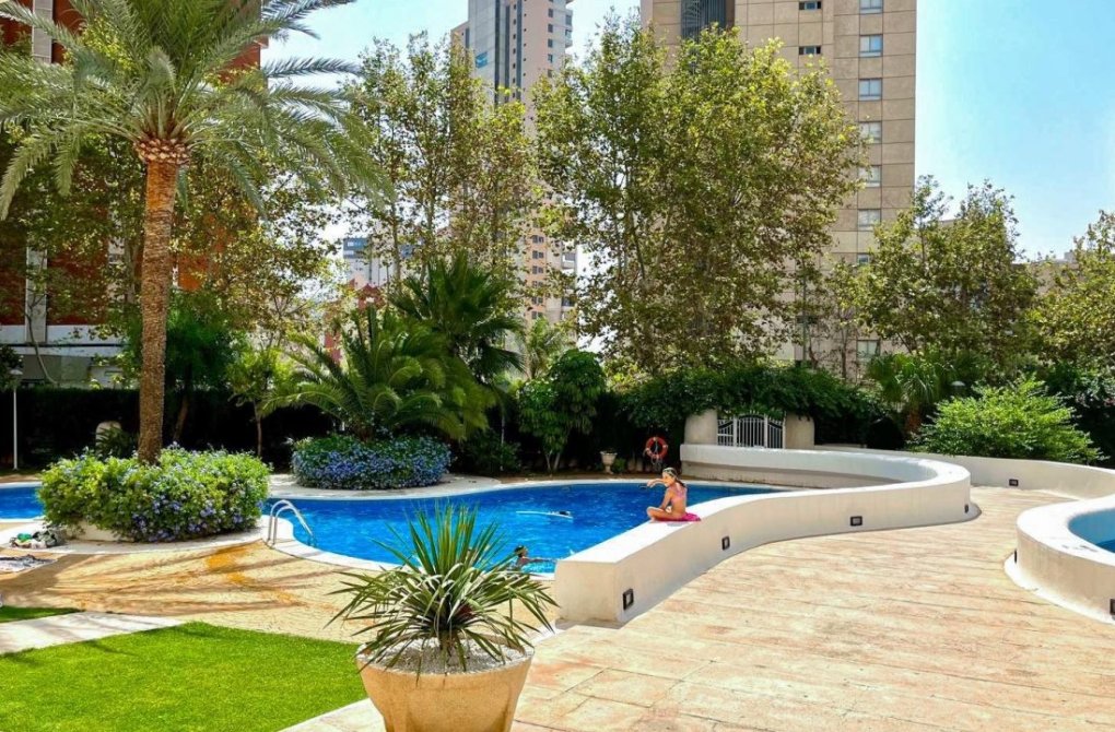 Rynek wtórny - Apartament - Benidorm - Levante