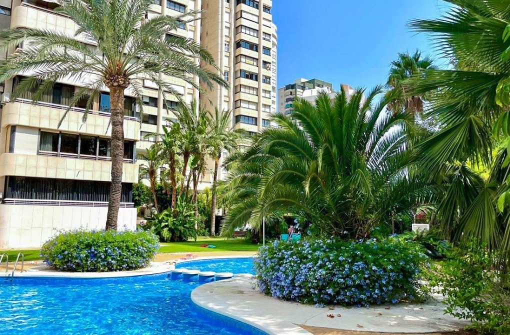 Resale - Apartment - Benidorm - Levante