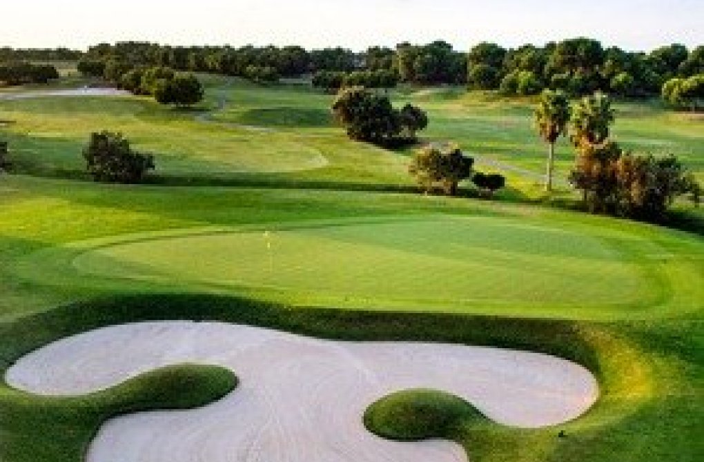 Obra nueva - Villa - Pilar de la Horadada - Lo Romero Golf