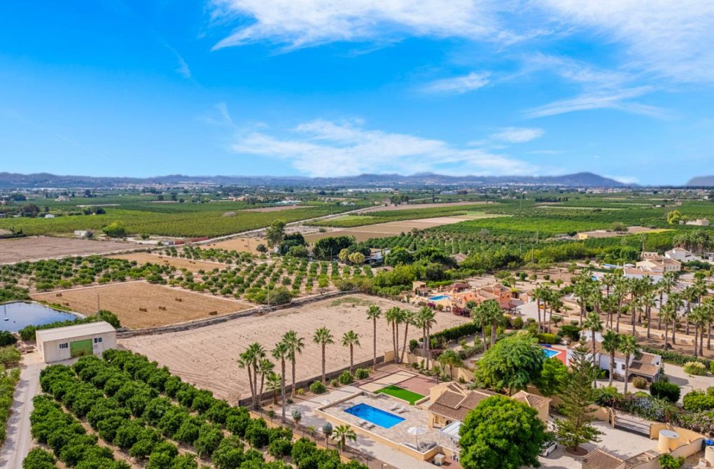 Reventa - Finca / Propiedad de Campo - Rafal