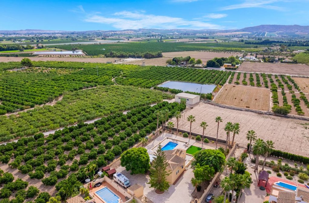 Reventa - Finca / Propiedad de Campo - Rafal