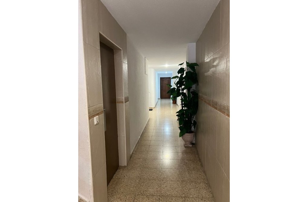 Resale - Apartment - Torrevieja - Centro