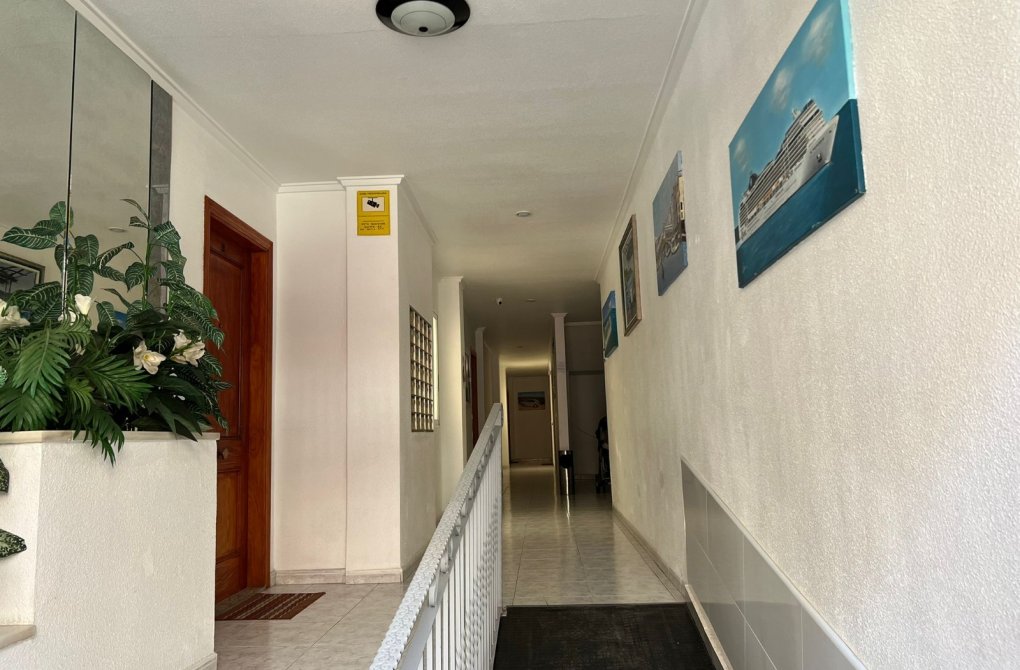 Reventa - Departamento - Torrevieja - Playa de Los Locos-Curva del Palangre