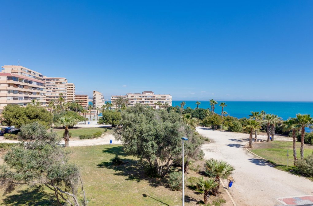 Resale - Apartment - Torrevieja - Cabo cervera