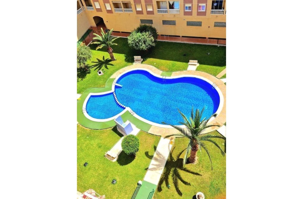 Resale - Apartment - Torrevieja - Parque las naciones