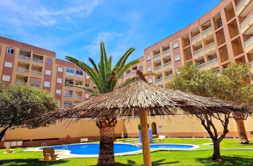 Resale - Apartment - Torrevieja - Parque las naciones