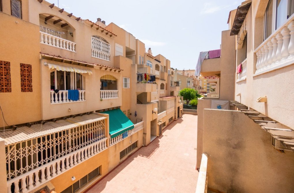  - Apartament - Torrevieja - Playa del cura