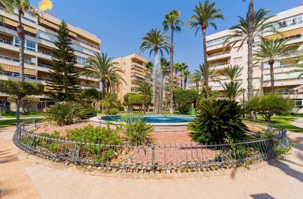 Resale - Penthouse - Torrevieja - Playa de los locos