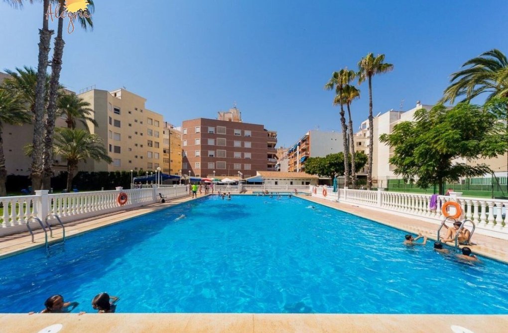 Resale - Penthouse - Torrevieja - Playa de los locos