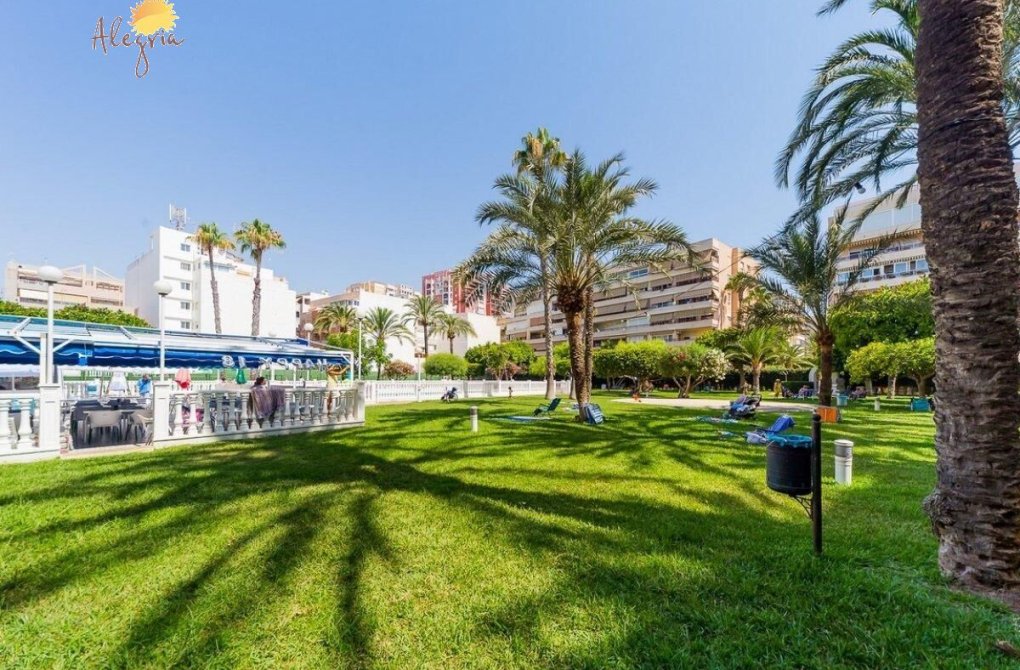 Resale - Penthouse - Torrevieja - Playa de los locos