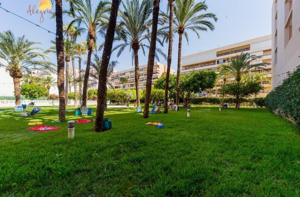 Resale - Penthouse - Torrevieja - Playa de los locos