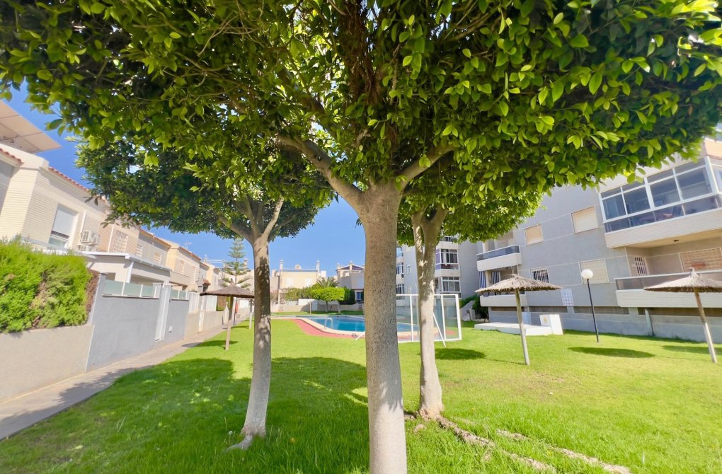 Resale - Apartment - Torrevieja - Torreblanca