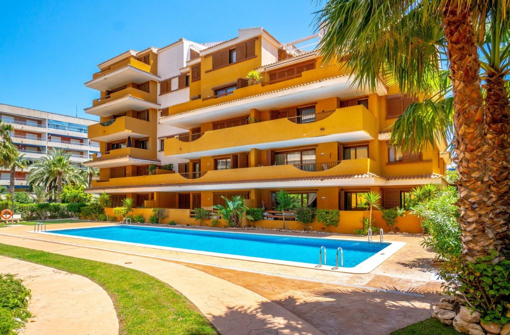 Rynek wtórny - Apartament - Torrevieja - Punta prima