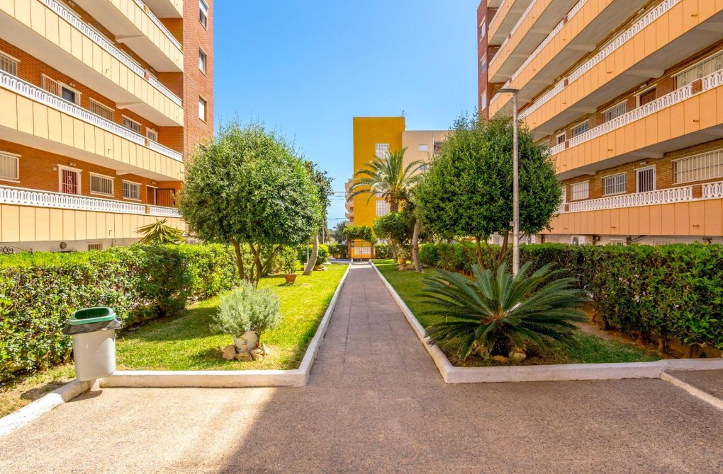 Resale - Apartment - Torrevieja - Punta prima