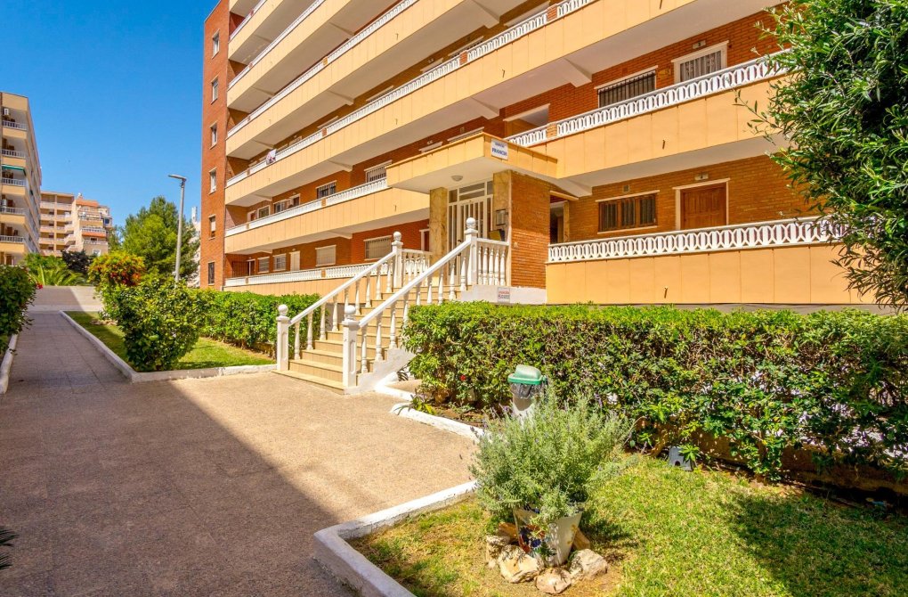 Resale - Apartment - Torrevieja - Punta prima