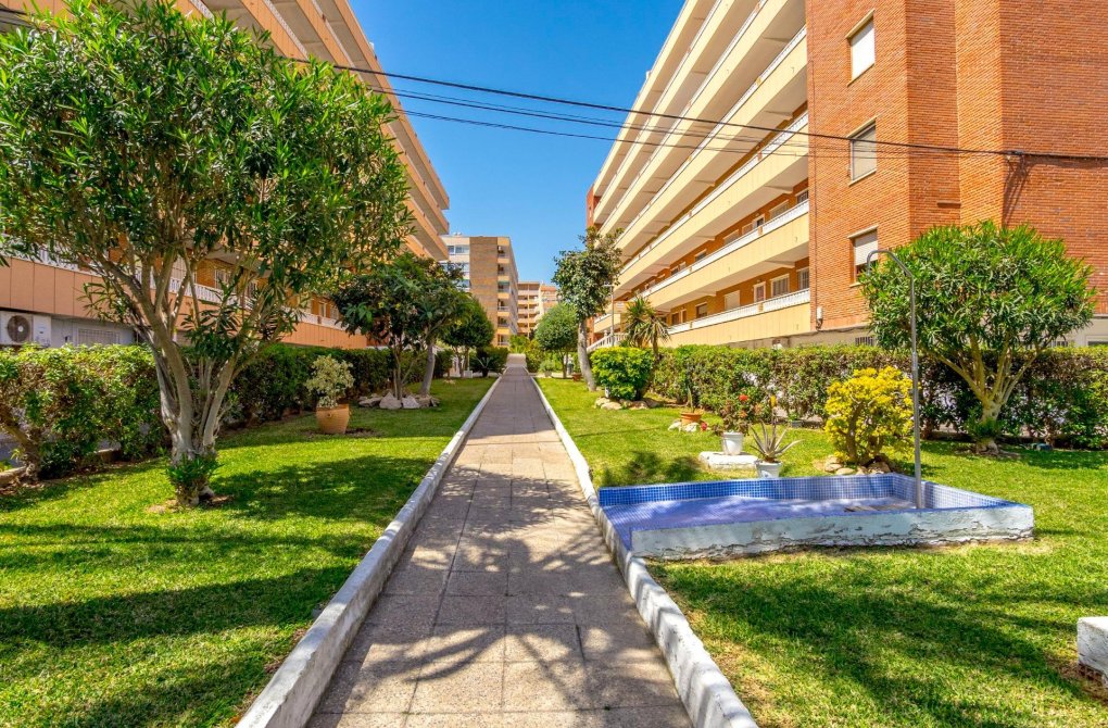 Resale - Apartment - Torrevieja - Punta prima