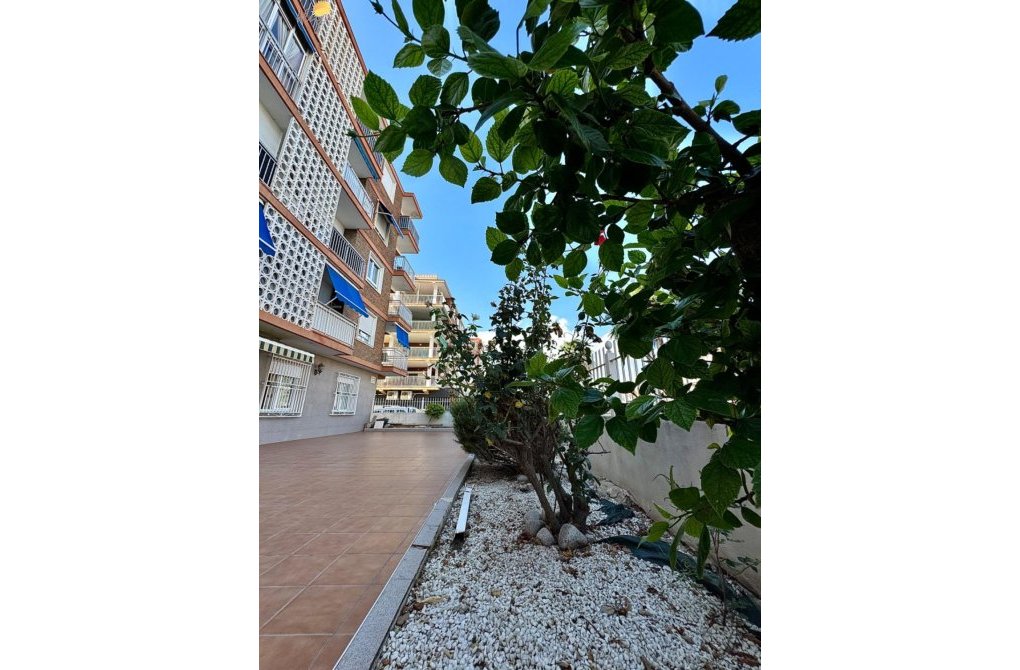 Resale - Apartment - Torrevieja - Playa de los Naufragos