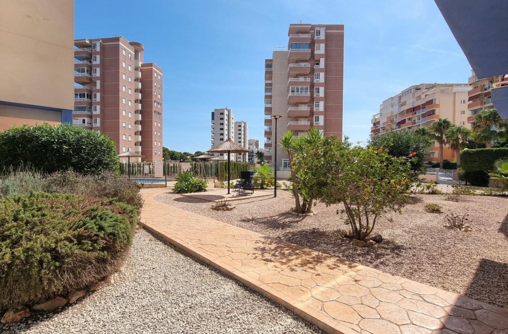 Resale - Penthouse - Guardamar del Segura - PUERTO