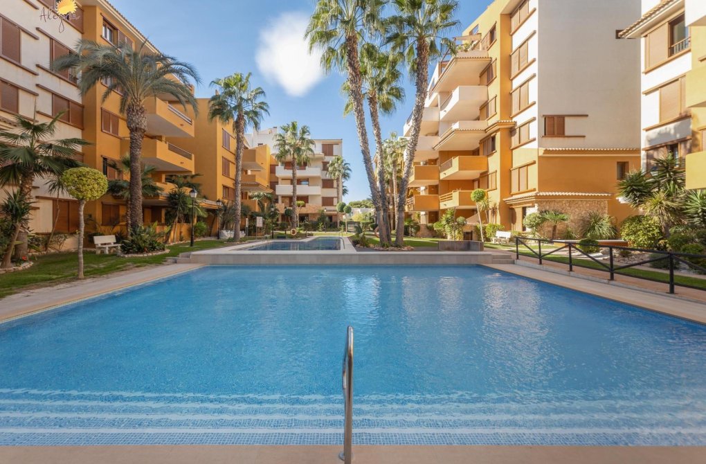 Rynek wtórny - Apartament - Torrevieja - Punta prima