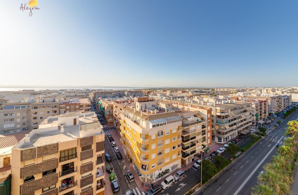 Resale - Apartment - Torrevieja - Acequion