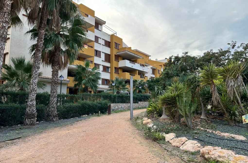 Resale - Penthouse - Torrevieja - Punta prima