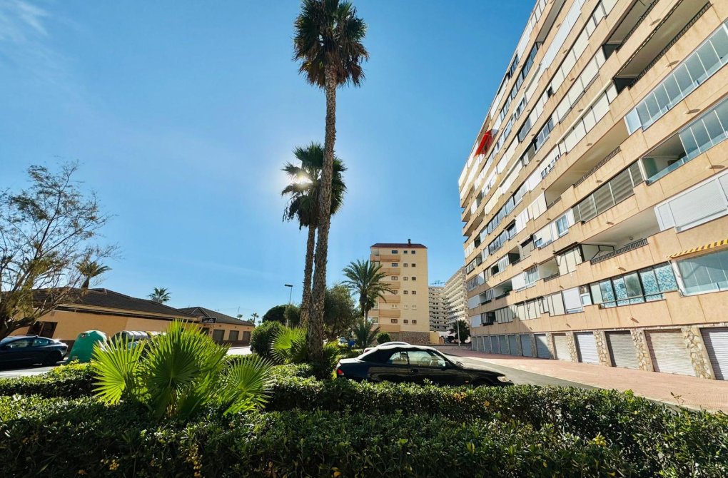 Resale - Apartment - Torrevieja - Cabo cervera