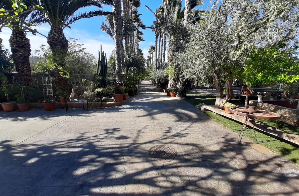 Resale - Finca - Orihuela