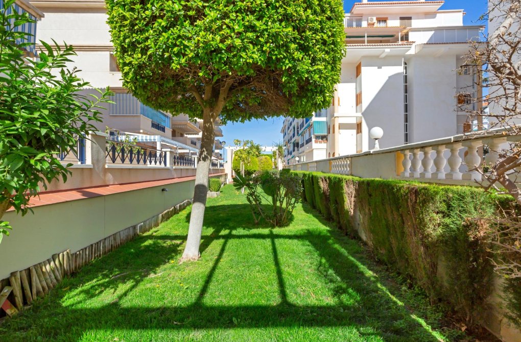 Resale - Apartment - Torrevieja - La Mata