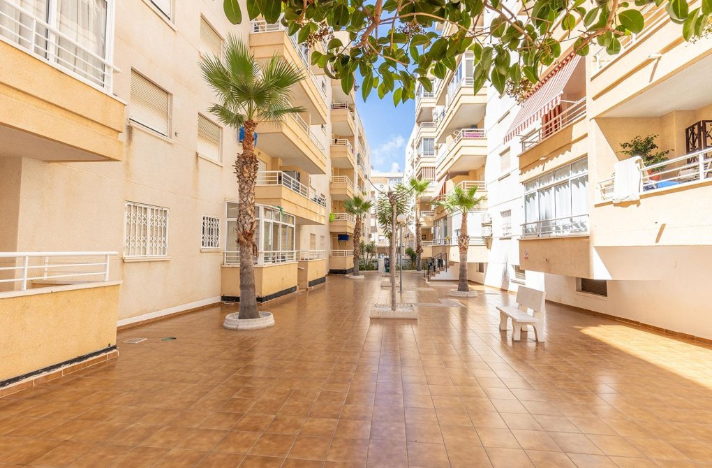 Resale - Apartment - Torrevieja - Estacion de autobuses