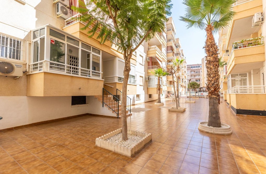 Resale - Apartment - Torrevieja - Estacion de autobuses