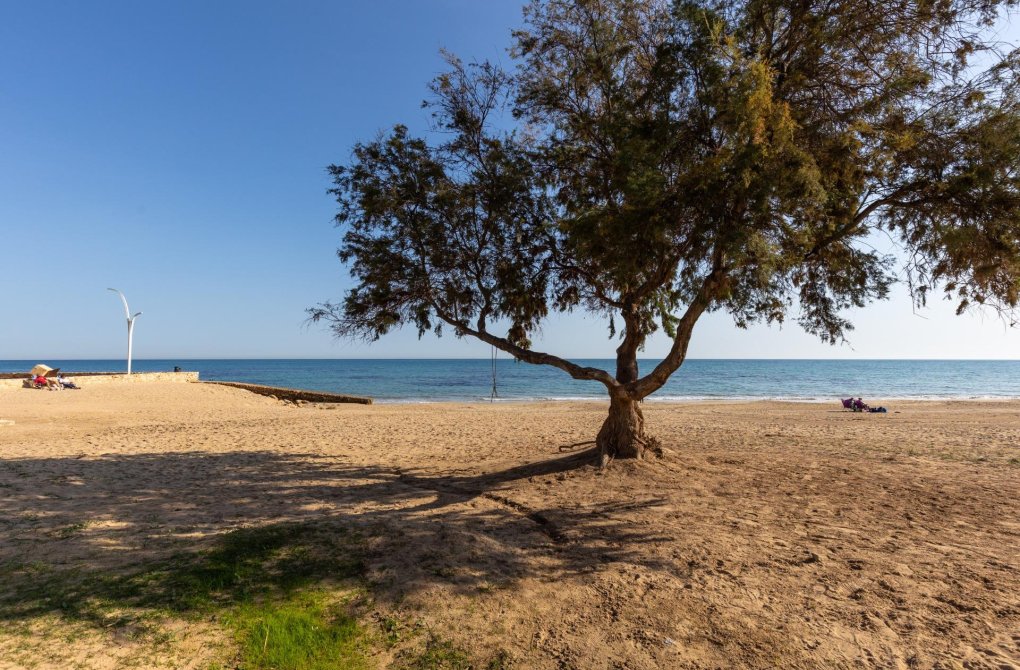 Вторичное жилье - Квартира - Torrevieja - La Mata pueblo