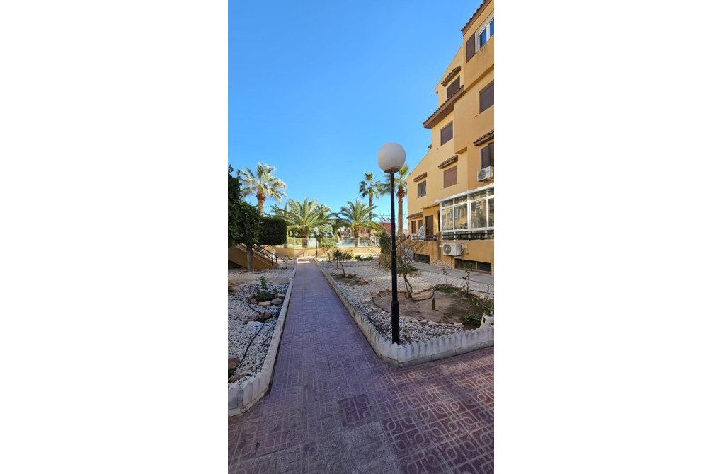 Rynek wtórny - Apartament - Torrevieja - Torreblanca